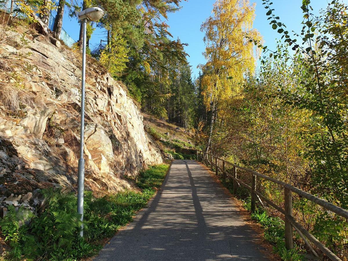 Lipno Nad Vltavou - Apartman 23 - Wifi, Parking, Netflix Экстерьер фото